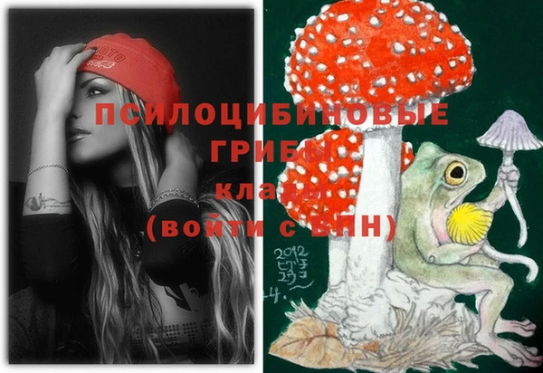 стафф Белокуриха