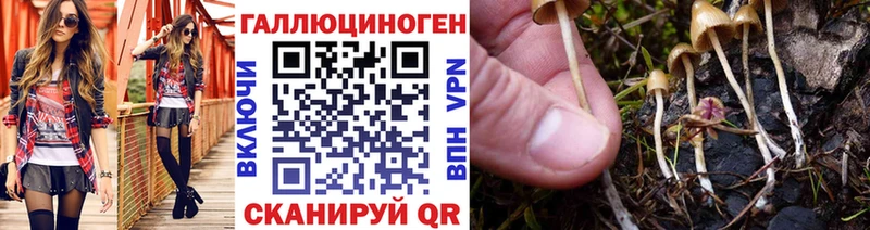 Галлюциногенные грибы Cubensis  как найти наркотики  Пойковский 