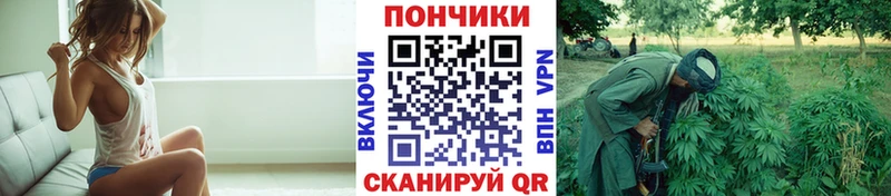 Бошки марихуана семена  Пойковский 